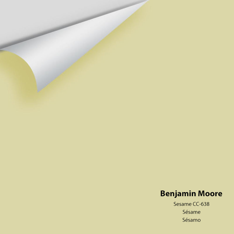 Benjamin Moore - Sesame 381/CC-638 Peel & Stick Color Sample