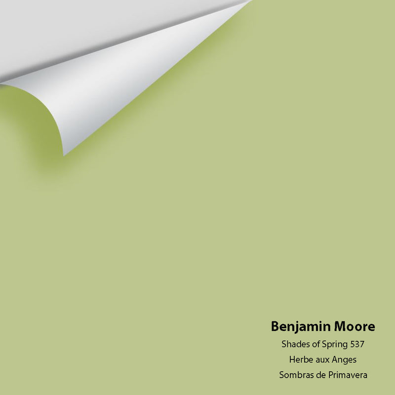 Benjamin Moore - Shades Of Spring 537 Peel & Stick Color Sample