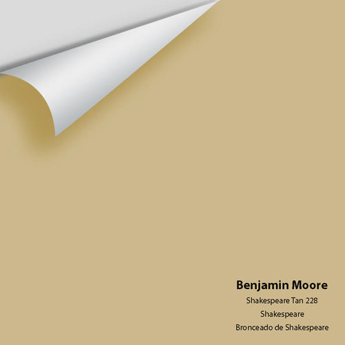 Benjamin Moore - Shakespeare Tan 228 Peel & Stick Color Sample
