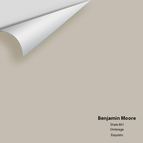Benjamin Moore - Shale 861 Peel & Stick Color Sample