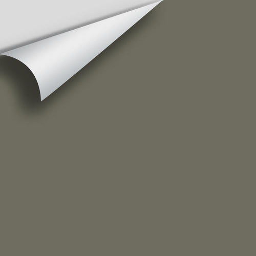 Benjamin Moore - Sharkskin 2139-30 Peel & Stick Color Sample