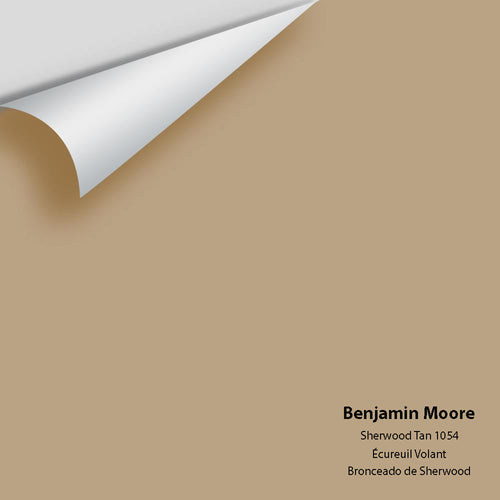 Benjamin Moore - Sherwood Tan 1054 Peel & Stick Color Sample