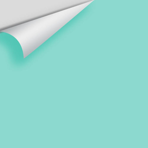 Benjamin Moore - Shore House Green 2047-50 Peel & Stick Color Sample