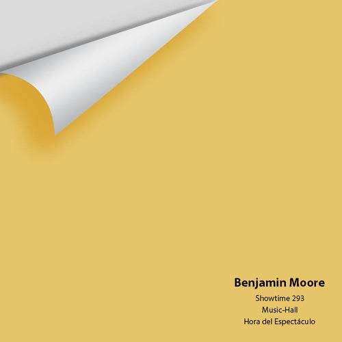Benjamin Moore - Showtime 293 Peel & Stick Color Sample
