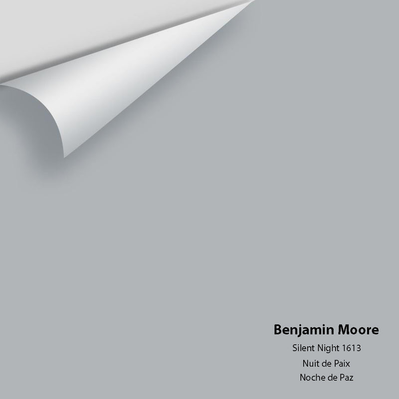 Benjamin Moore - Silent Night 1613 Peel & Stick Color Sample