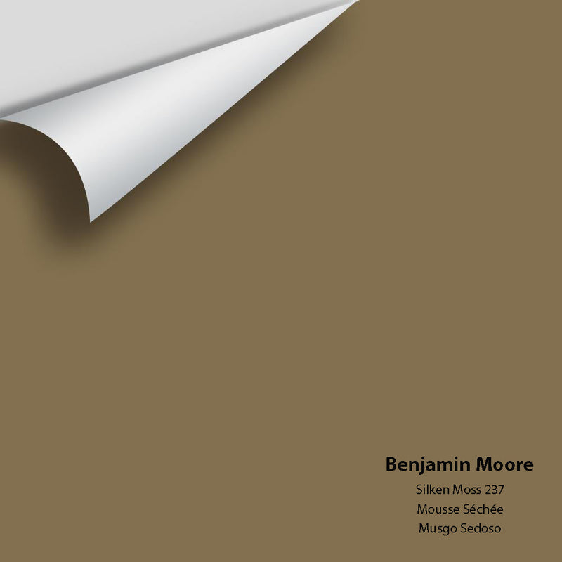 Benjamin Moore - Silken Moss 237 Peel & Stick Color Sample