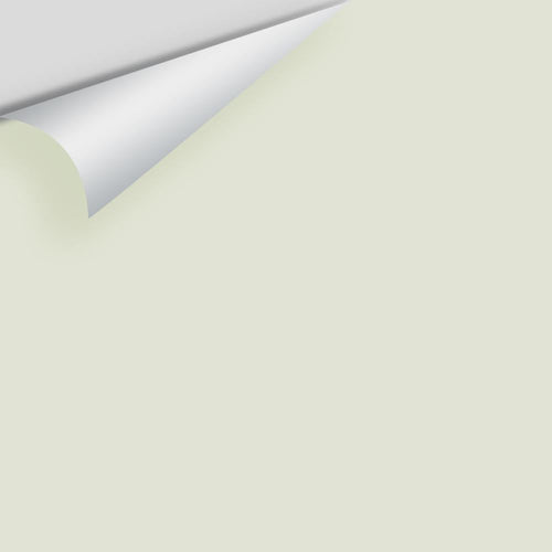 Benjamin Moore - Silken Pine 2144-50 Peel & Stick Color Sample