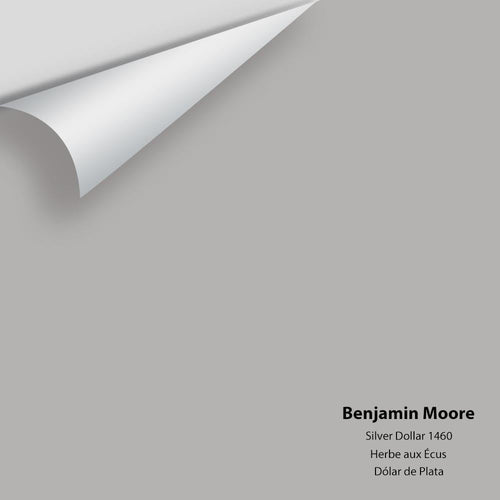 Benjamin Moore - Silver Dollar 1460 Peel & Stick Color Sample