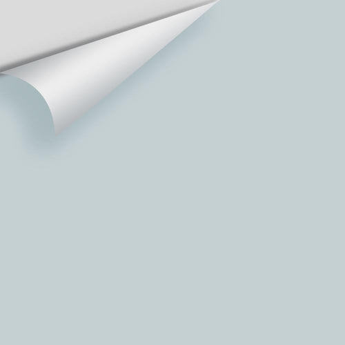 Benjamin Moore - Silver Gray 2131-60 Peel & Stick Color Sample