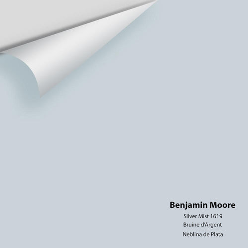 Benjamin Moore - Silver Mist 1619 Peel & Stick Color Sample
