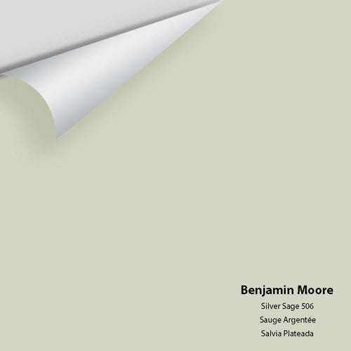 Benjamin Moore - Silver Sage 506 Peel & Stick Color Sample