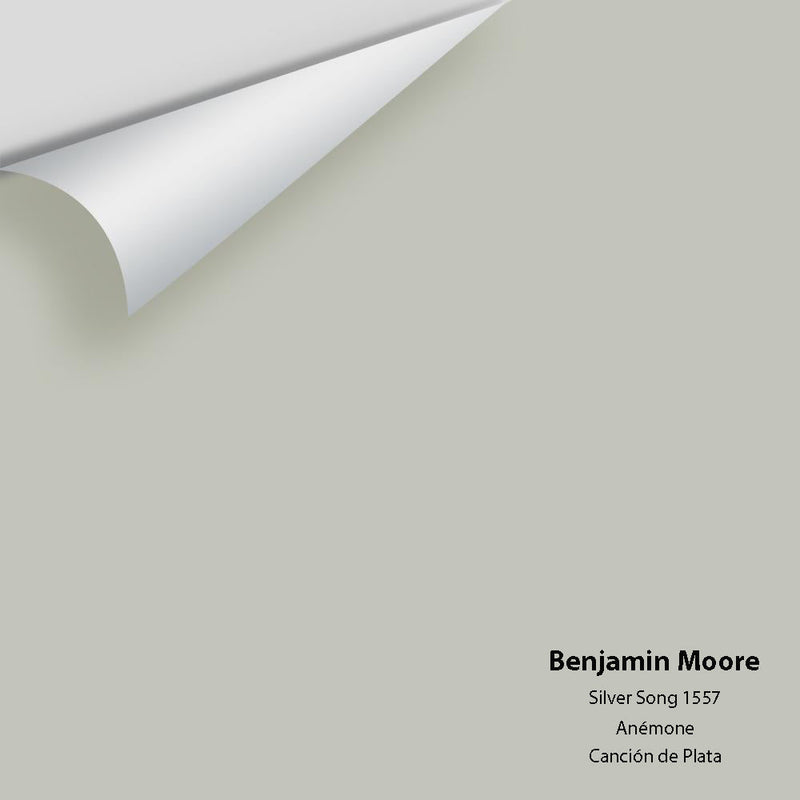 Benjamin Moore - Silver Song 1557 Peel & Stick Color Sample