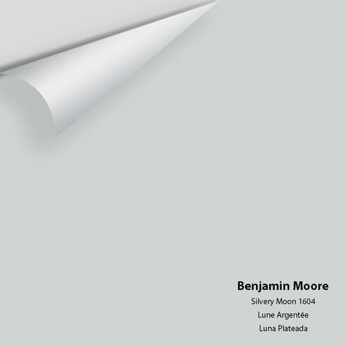 Benjamin Moore - Silvery Moon 1604 Peel & Stick Color Sample