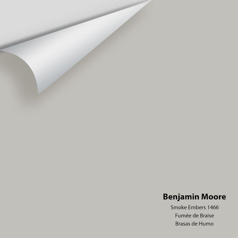 Benjamin Moore - Smoke Embers 1466 Peel & Stick Color Sample