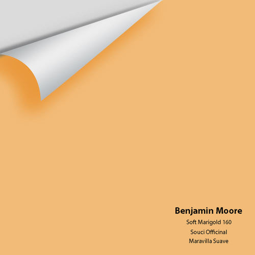 Benjamin Moore - Soft Marigold 160 Peel & Stick Color Sample