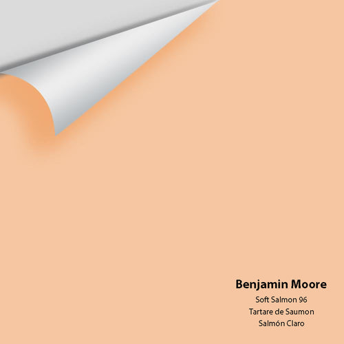 Benjamin Moore - Soft Salmon 96 Peel & Stick Color Sample