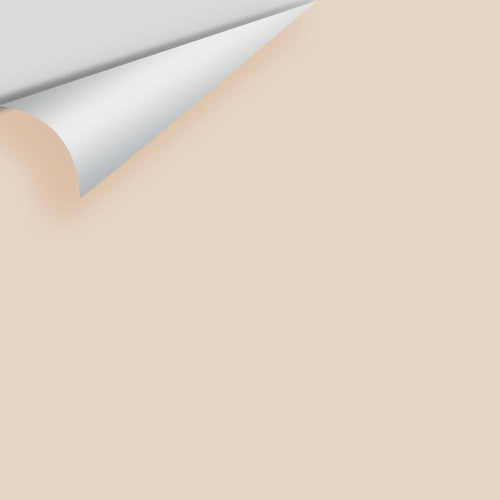 Benjamin Moore - Soft Satin 2164-60 Peel & Stick Color Sample
