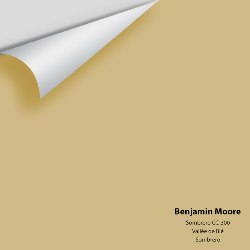 Benjamin Moore - Sombrero 249/CC-300 Peel & Stick Color Sample