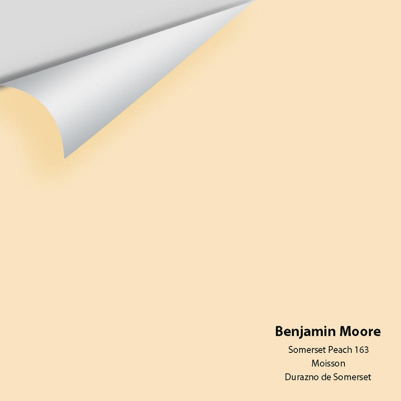 Benjamin Moore - Somerset Peach 163 Peel & Stick Color Sample