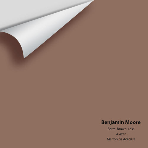 Benjamin Moore - Sorrel Brown 1236 Peel & Stick Color Sample