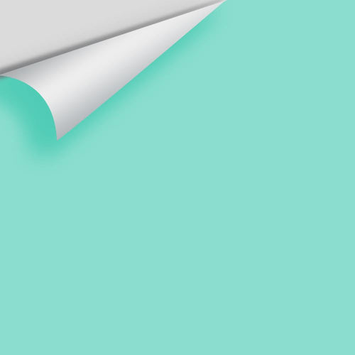 Benjamin Moore - South Beach 2043-50 Peel & Stick Color Sample
