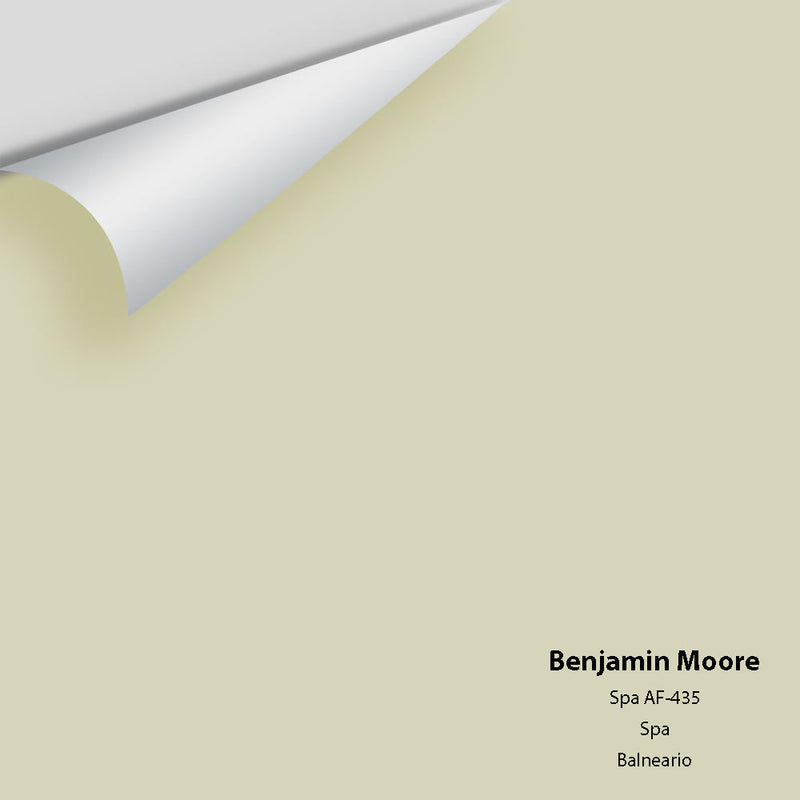 Benjamin Moore - Spa AF-435 Peel & Stick Color Sample