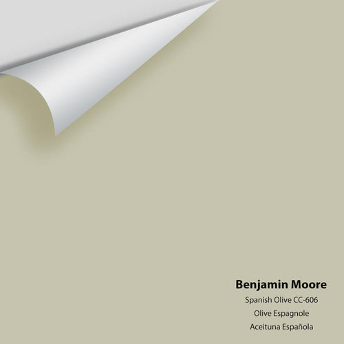 Benjamin Moore - Spanish Olive 1509/CC-606 Peel & Stick Color Sample