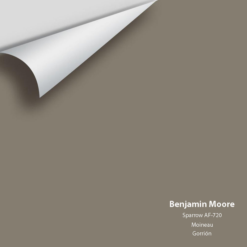 Benjamin Moore - Sparrow AF-720 Peel & Stick Color Sample