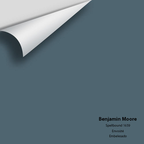 Benjamin Moore - Spellbound 1659 Peel & Stick Color Sample