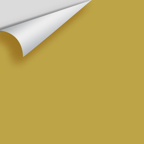 Benjamin Moore - Spice Market CSP-925 Peel & Stick Color Sample