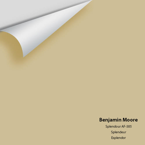 Benjamin Moore - Splendor AF-385 Peel & Stick Color Sample