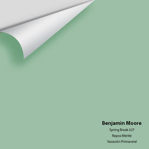 Benjamin Moore - Spring Break 627 Peel & Stick Color Sample