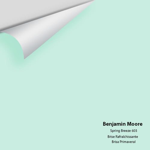 Benjamin Moore - Spring Breeze 603 Peel & Stick Color Sample