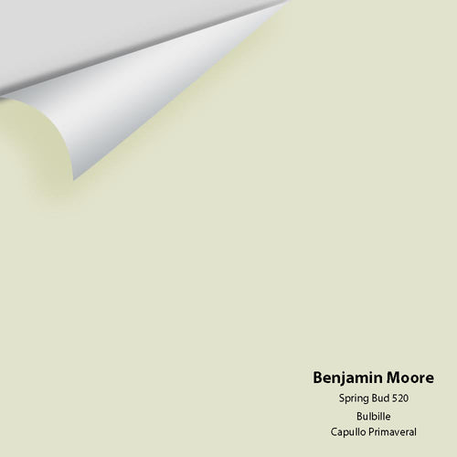Benjamin Moore - Spring Bud 520 Peel & Stick Color Sample