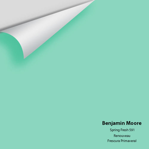 Benjamin Moore - Spring Fresh 591 Peel & Stick Color Sample
