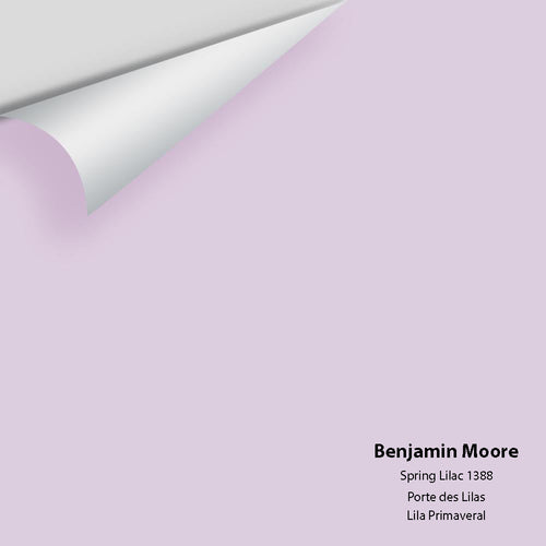 Benjamin Moore - Spring Lilac 1388 Peel & Stick Color Sample