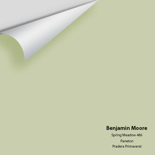 Benjamin Moore - Spring Meadow 486 Peel & Stick Color Sample
