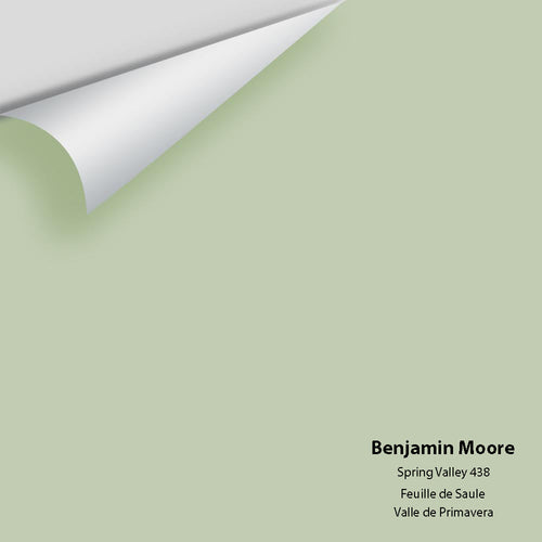Benjamin Moore - Spring Valley 438 Peel & Stick Color Sample