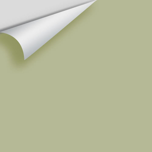 Benjamin Moore - Spring Has Sprung CSP-835 Peel & Stick Color Sample