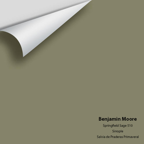 Benjamin Moore - Springfield Sage 510 Peel & Stick Color Sample