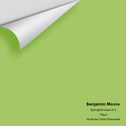 Benjamin Moore - Springhill Green 412 Peel & Stick Color Sample