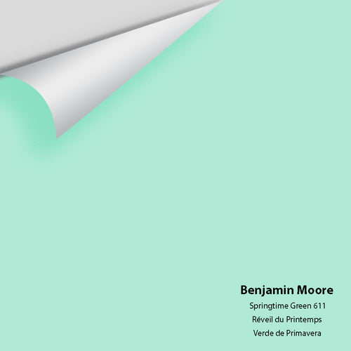 Benjamin Moore - Springtime Green 611 Peel & Stick Color Sample