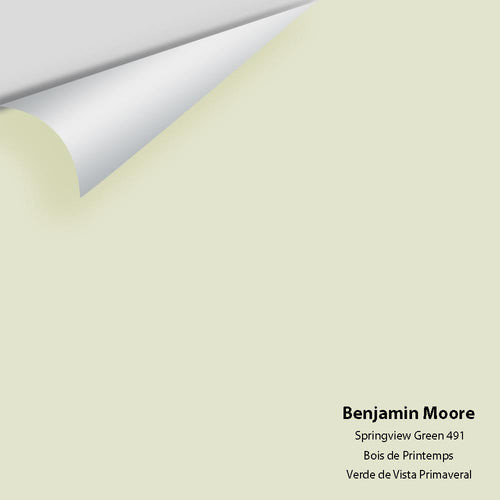 Benjamin Moore - Springview Green 491 Peel & Stick Color Sample