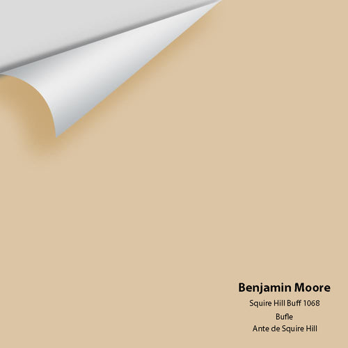 Benjamin Moore - Squire Hill Buff 1068 Peel & Stick Color Sample