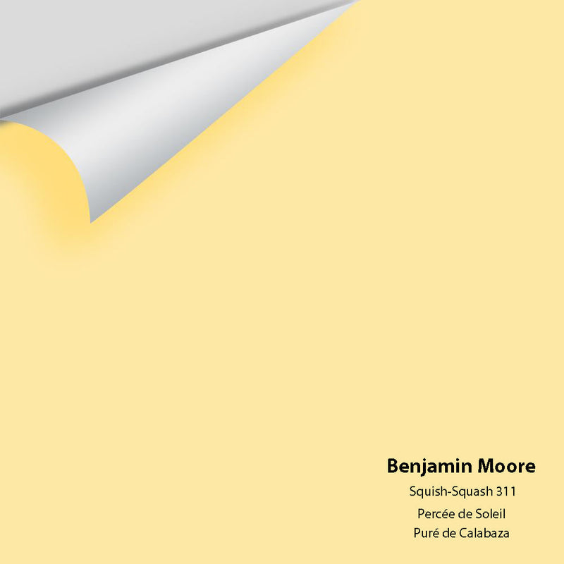 Benjamin Moore - Squish-Squash 311 Peel & Stick Color Sample
