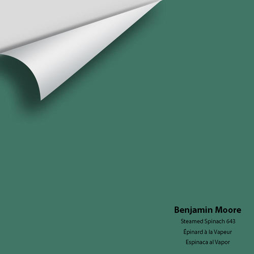 Benjamin Moore - Steamed Spinach 643 Peel & Stick Color Sample