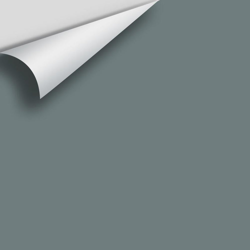 Benjamin Moore - Steep Cliff Gray 2122-20 Peel & Stick Color Sample