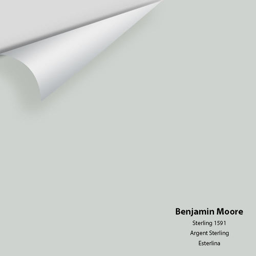 Benjamin Moore - Sterling 1591 Peel & Stick Color Sample