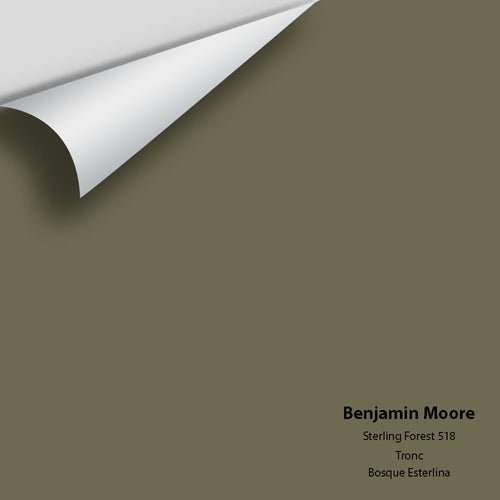 Benjamin Moore - Sterling Forest 518 Peel & Stick Color Sample