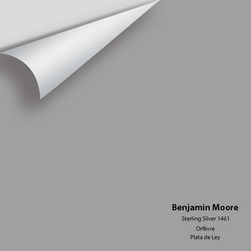 Benjamin Moore - Sterling Silver 1461 Peel & Stick Color Sample